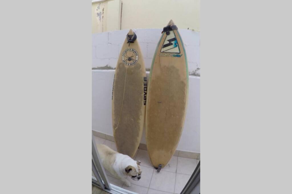 Surfboards Included In Your Stay!!! ティファナ エクステリア 写真